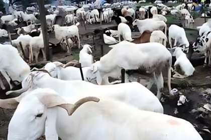 Ram Market in Lagos.