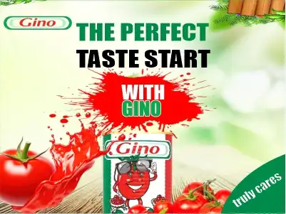 Gino 400by 300 pixerl