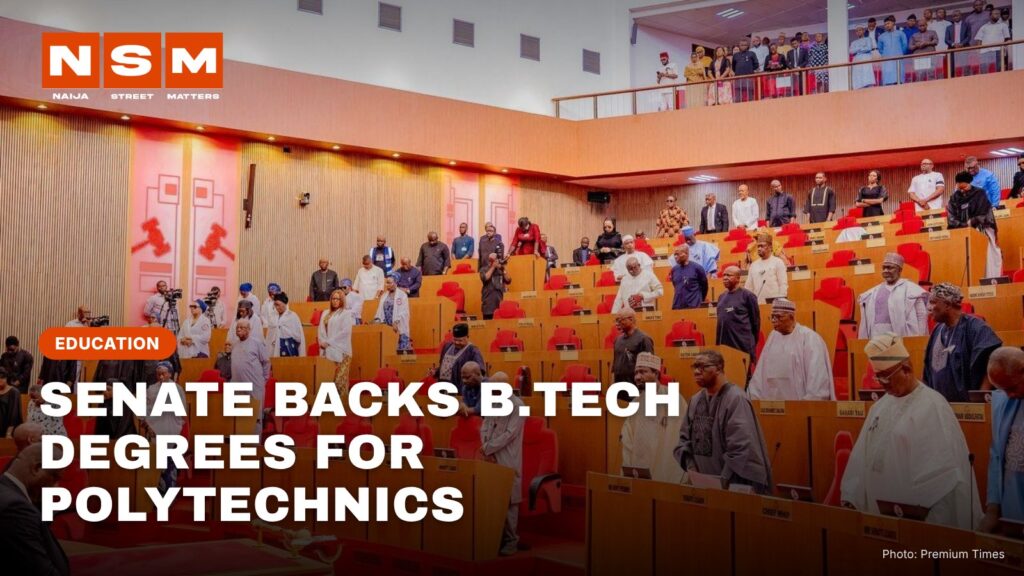 Senators at plenary in the Nigerian Senate chamber